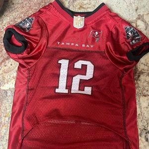 Size Large Mesh Tampa Bay Buccaneers DOG JERSEY